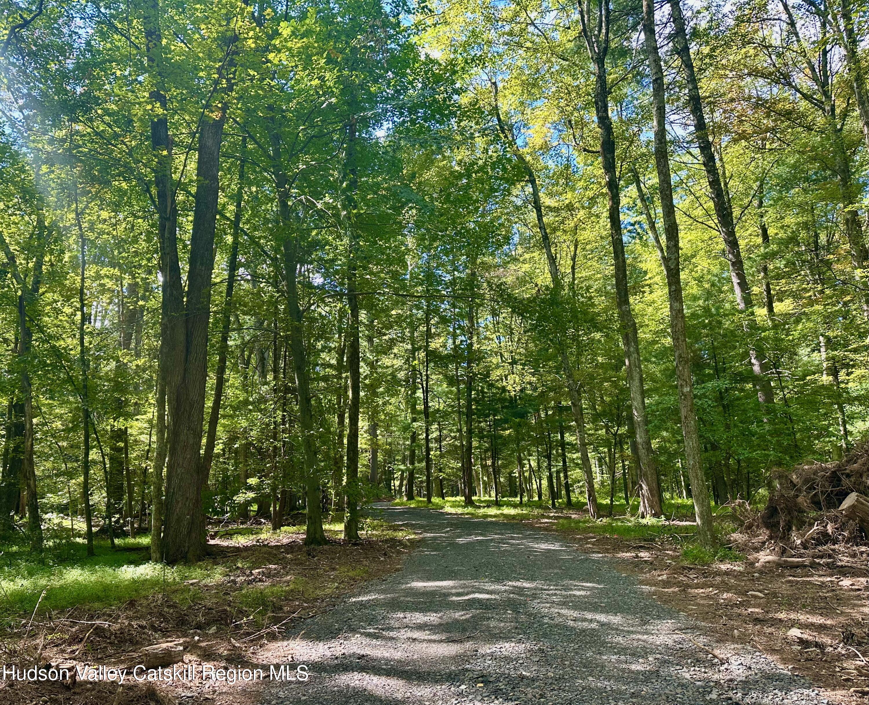 0 County Route 6 High Falls, NY 12440 - Photo 27 of 27 a big yard with trees