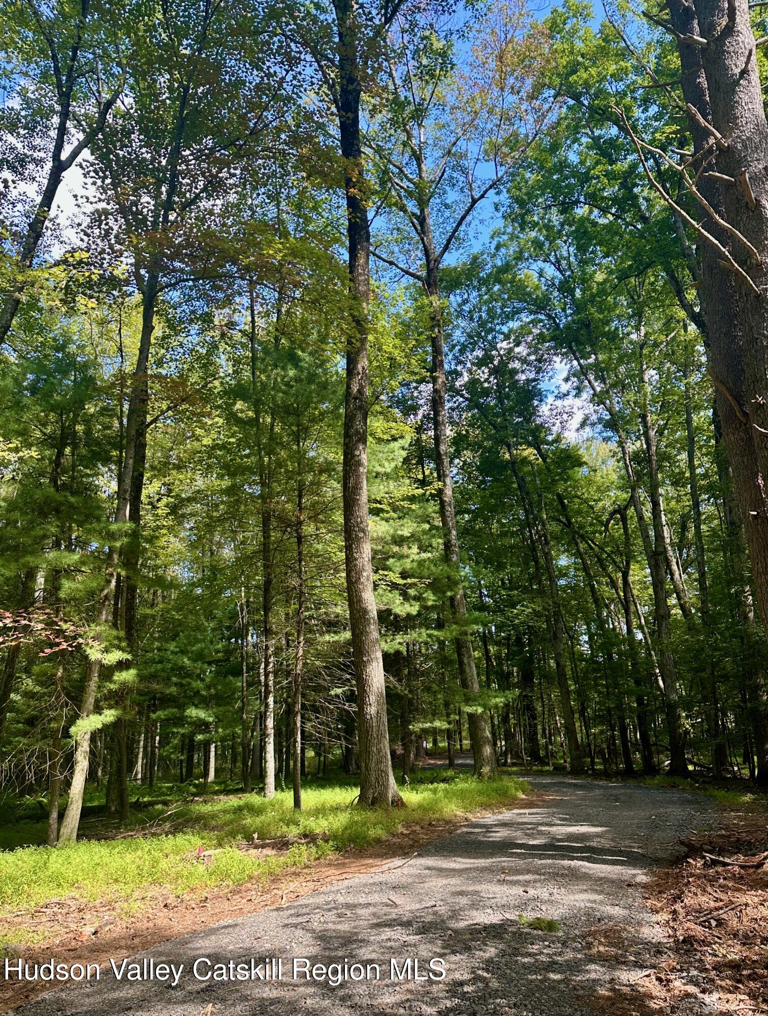 0 County Route 6 High Falls, NY 12440 - Photo 3 of 27 a view of a yard in front of a house