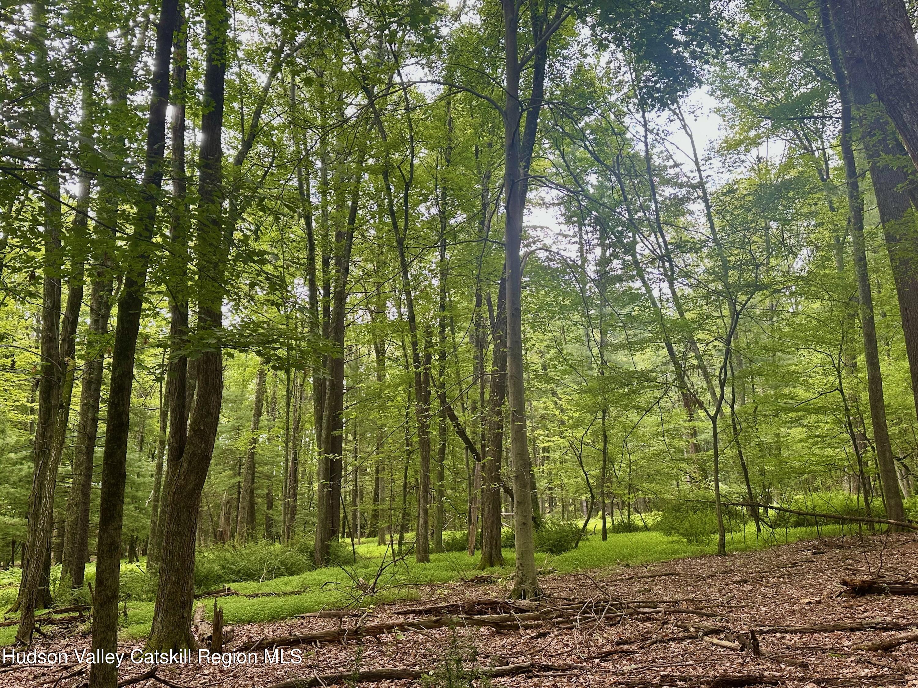 0 County Route 6 High Falls, NY 12440 - Photo 4 of 27