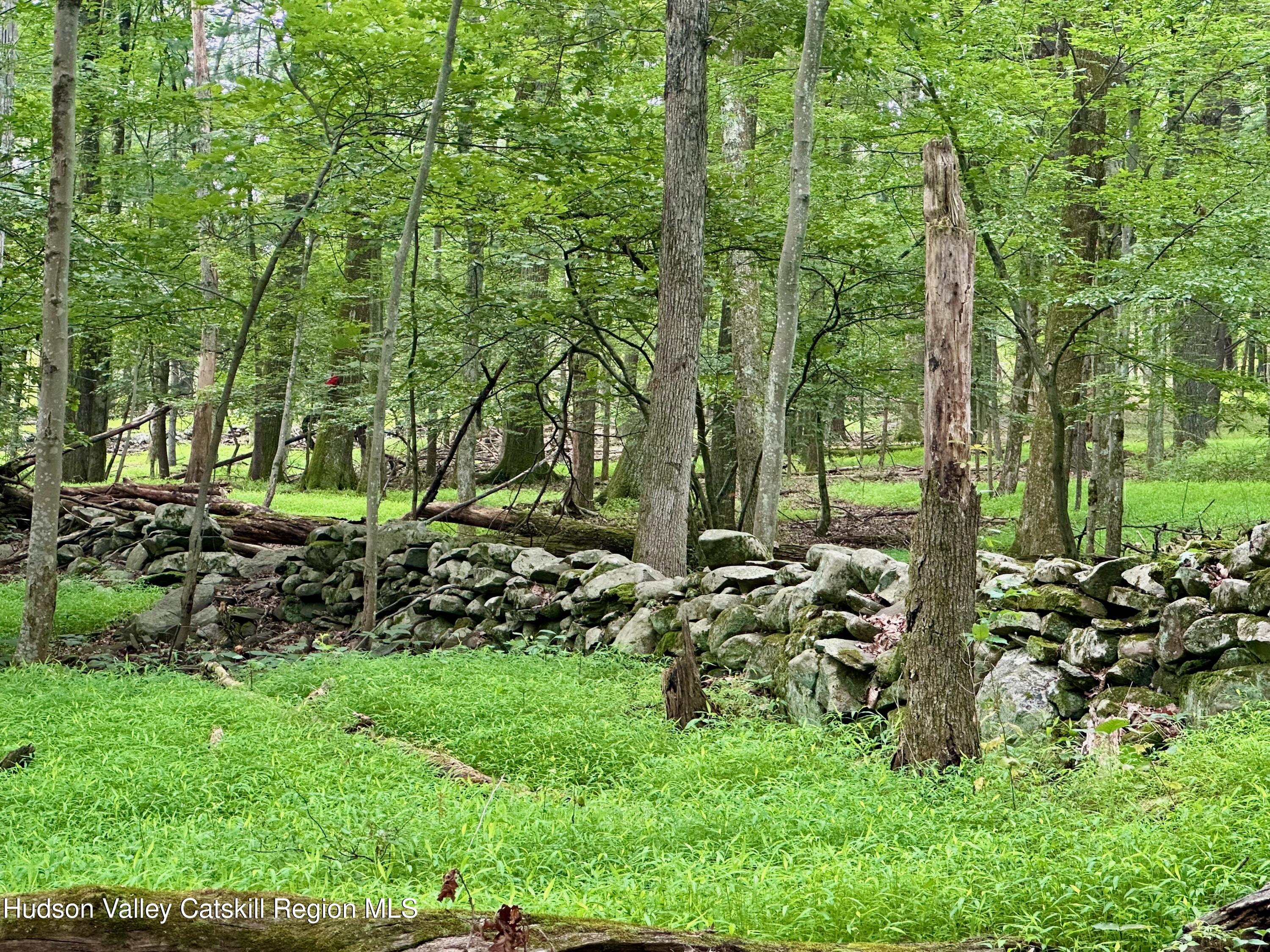 0 County Route 6 High Falls, NY 12440 - Photo 8 of 27 a view of yard with green space