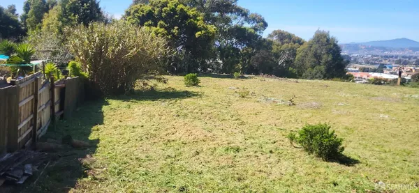 a view of yard with tree in front of it