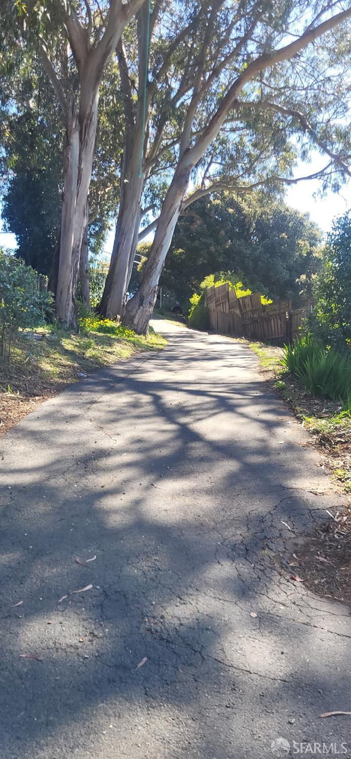 1675 Hillcrest Road San Pablo, CA 94806 - Photo 8 of 10 a view of yard and trees