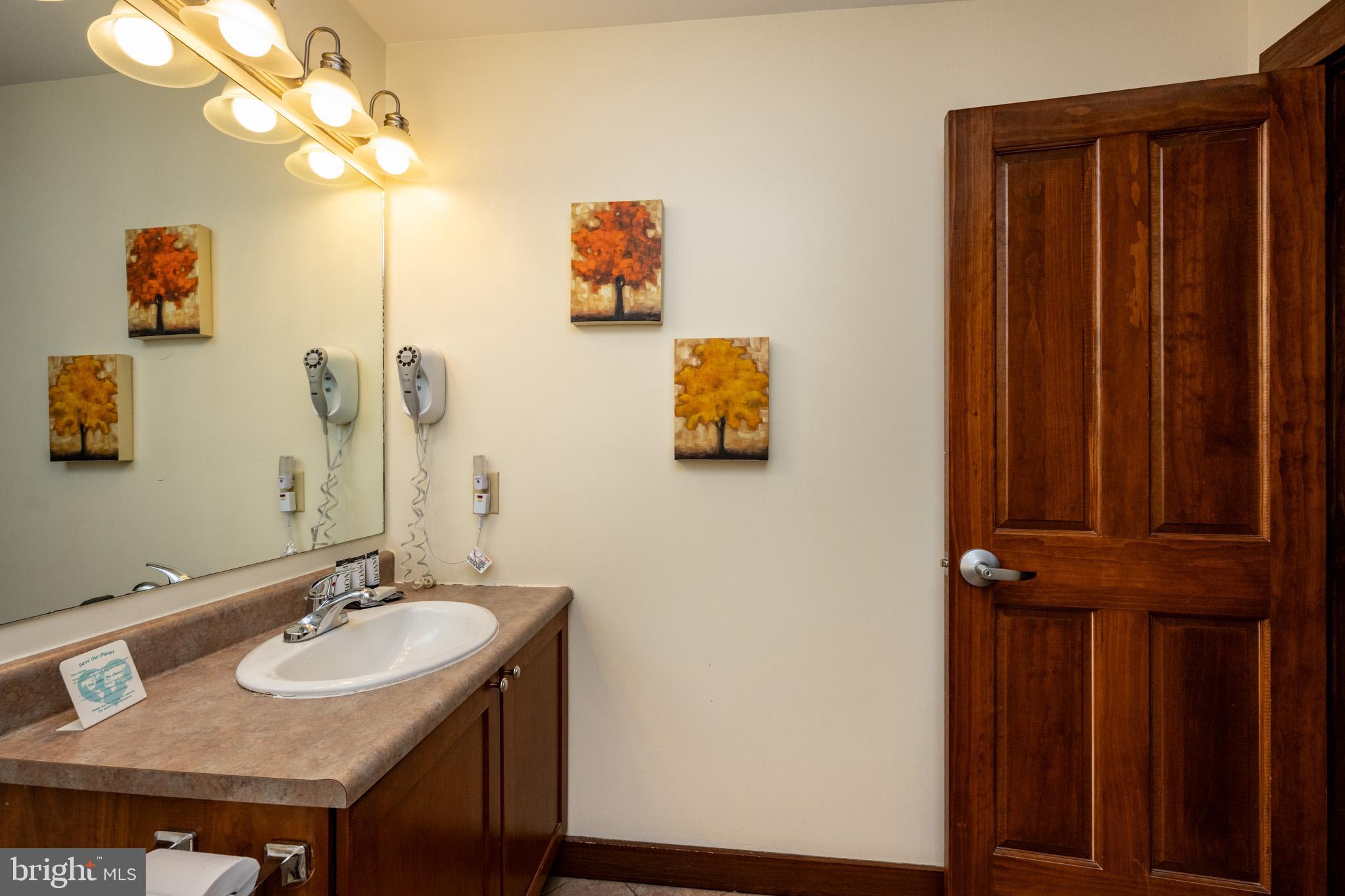 565 Glendale Road, Unit 125 Oakland, MD 21550 - Photo 10 of 55