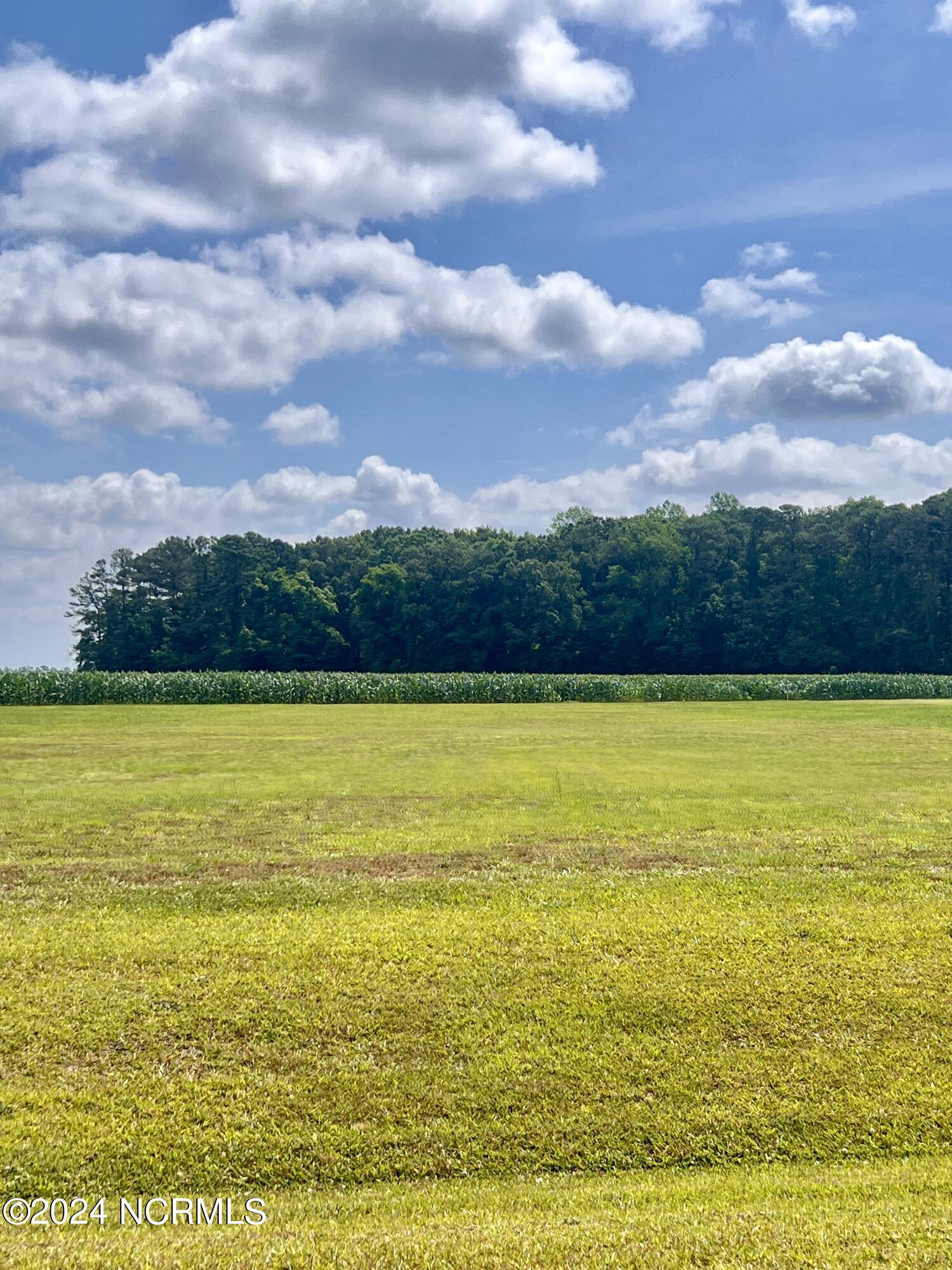 898 Winfield Lane Pinetown, NC 27865 - Photo 4 of 21 Lot 28 Ready to Build