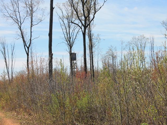 19081 Erickson Drive Dunbar, WI 54119 - Photo 20 of 87