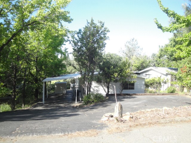 a outdoor space with lots of trees