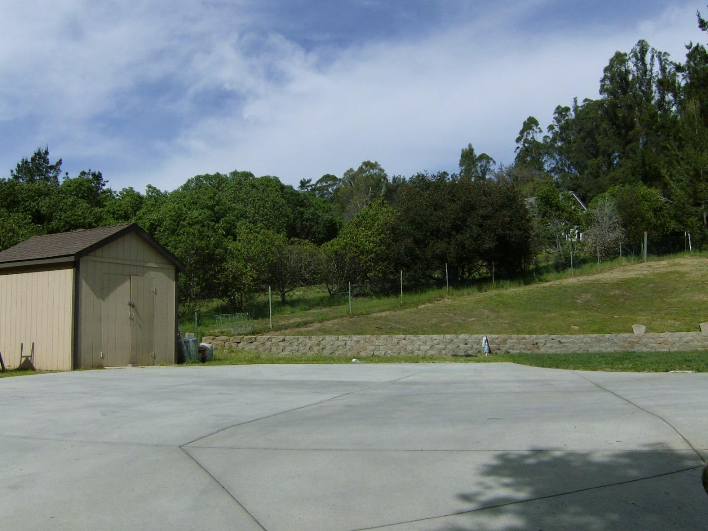 821 Lewis Road Watsonville, CA 95076 - Photo 14 of 15 a view of a big yard with a large trees