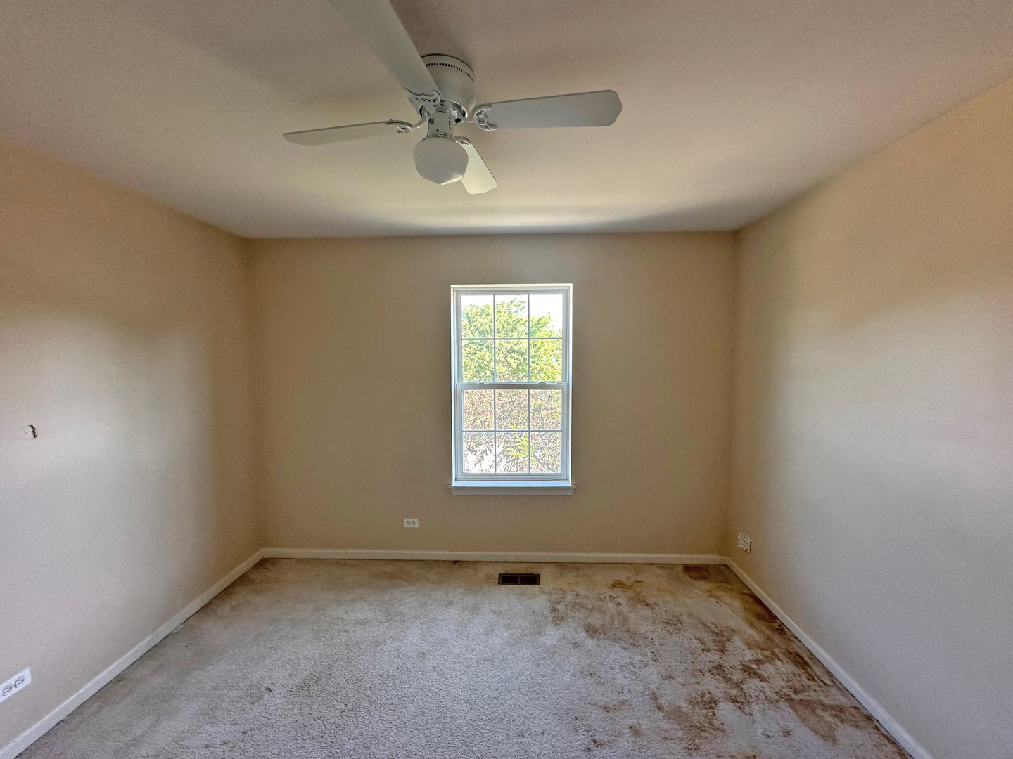 331 Parkstone Drive Cary, IL 60013 - Photo 15 of 21