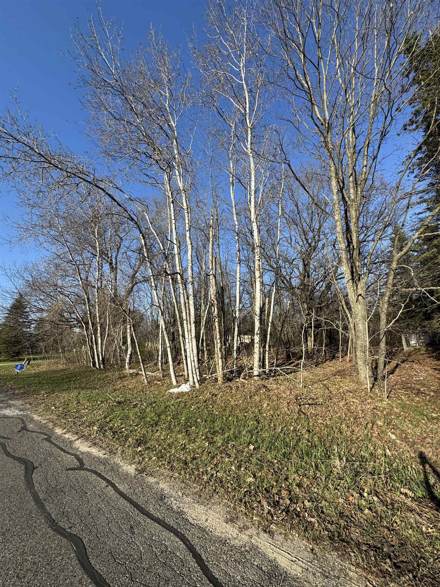 3603 Cecil Road Cadillac, MI 49601 - Photo 1 of 8
