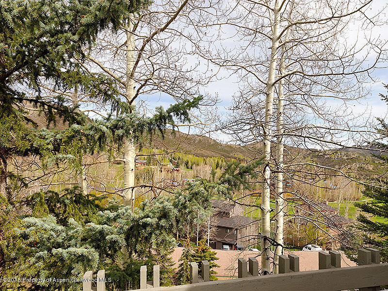241 Meadow Ranch Road, Unit D2A Snowmass Village, CO 81615 - Photo 16 of 16 Nice Views