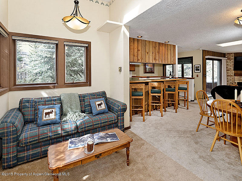 241 Meadow Ranch Road, Unit D2A Snowmass Village, CO 81615 - Photo 4 of 16 Expanded living area