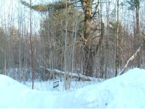 4 Glebe Mountain Road Windham, VT 05359 - Photo 5 of 6