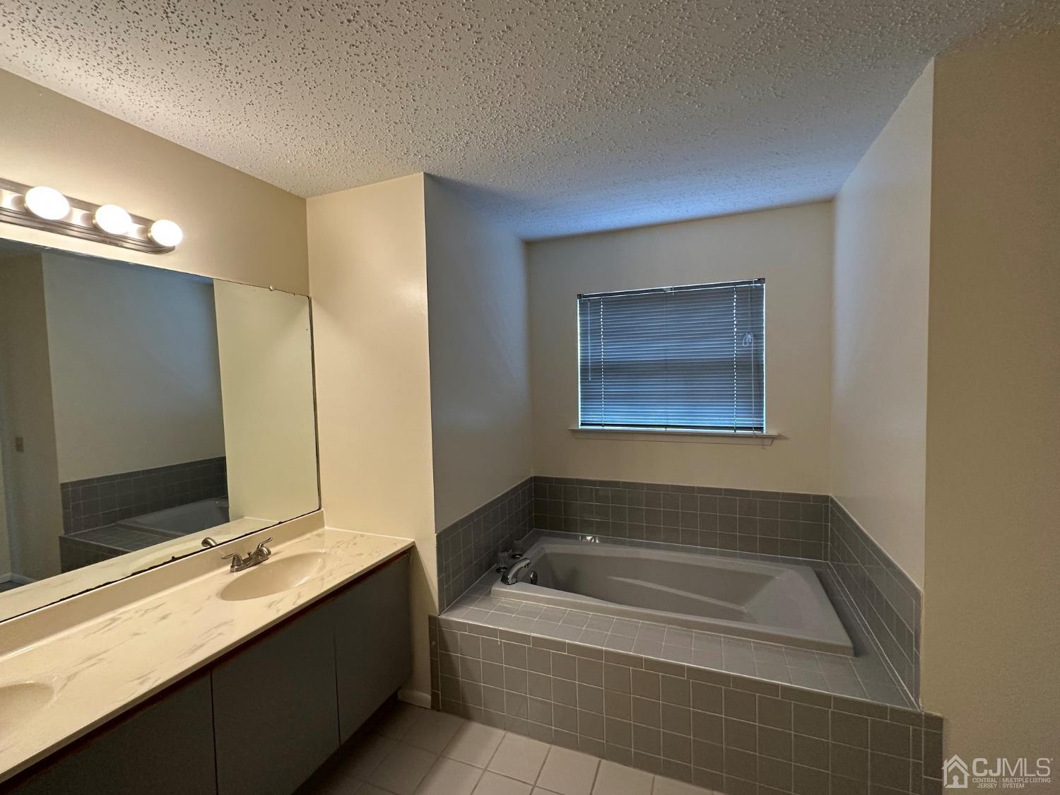 260 Nebula Road Piscataway, NJ 08854 - Photo 5 of 46 a bathroom with a tub a sink and mirror