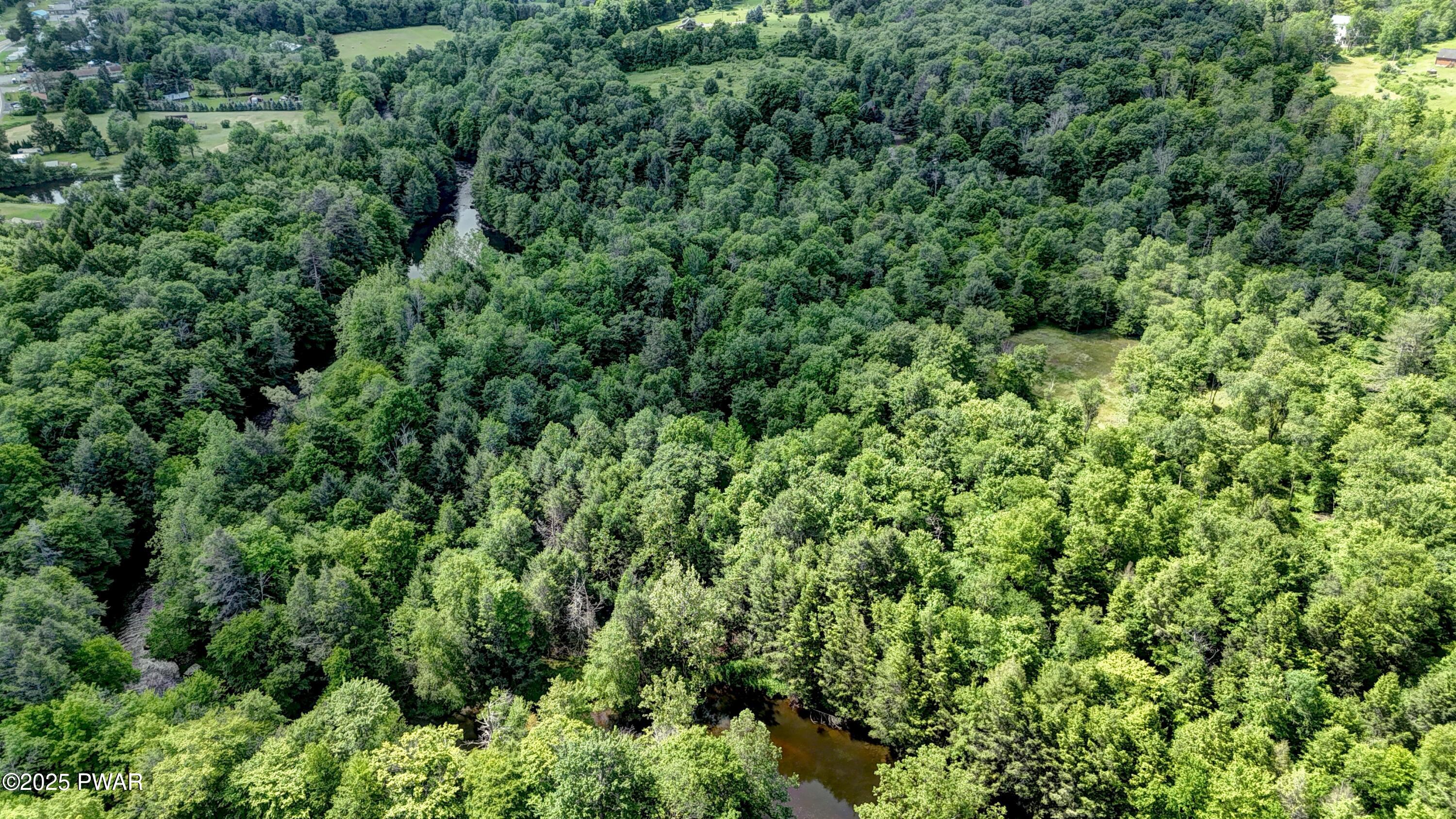 Gilpin Road Newfoundland, PA 18445 - Photo 49 of 53 Aerial View
