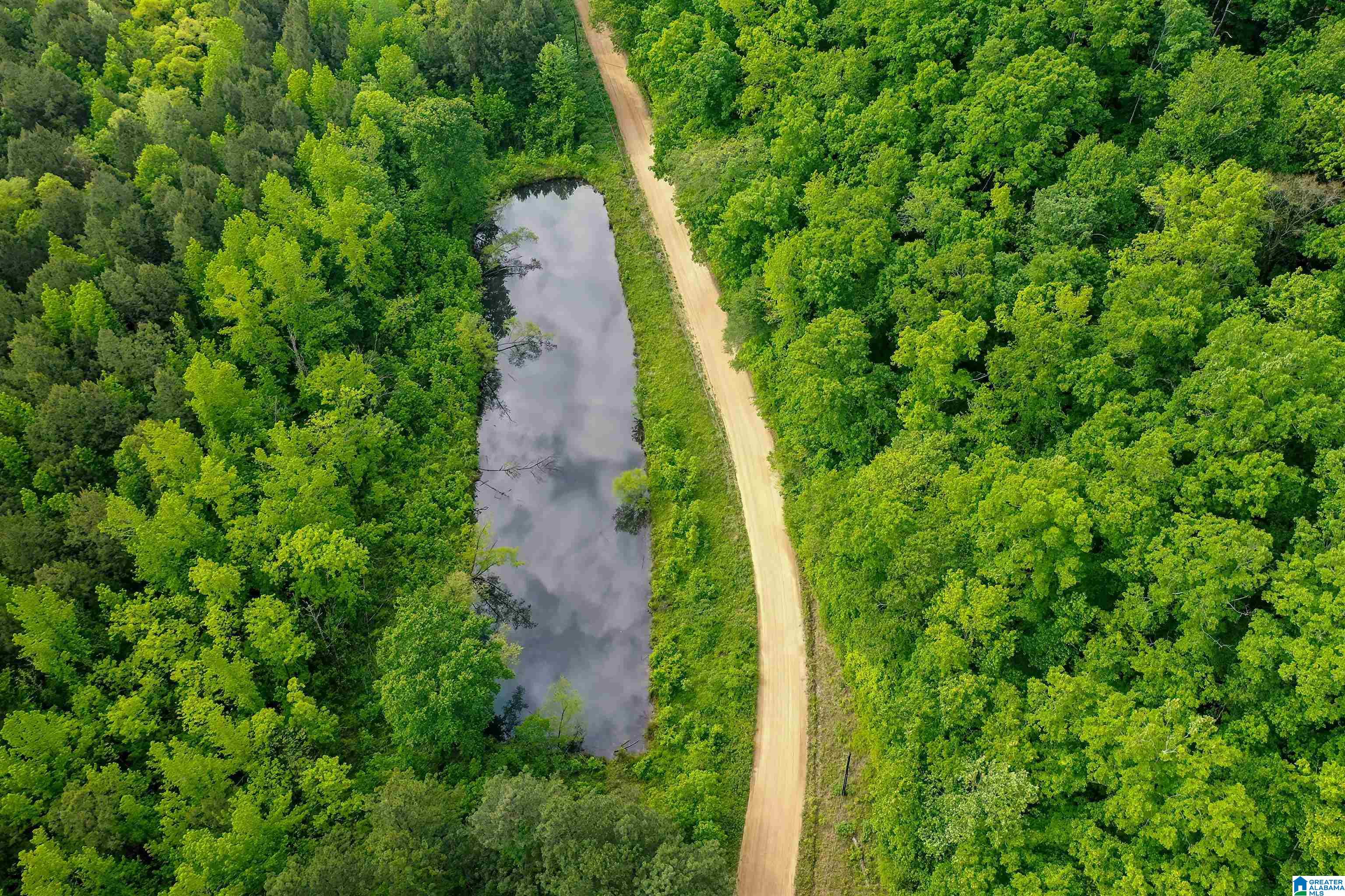 0 Wolf Creek Road Carbon Hill, AL 35549 - Photo 19 of 29