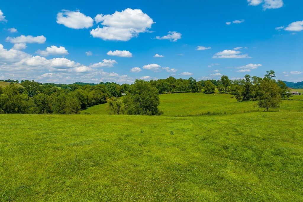 Tbd Clinchburg Road Meadowview, VA 24361 - Photo 11 of 43 Gallery Image 11