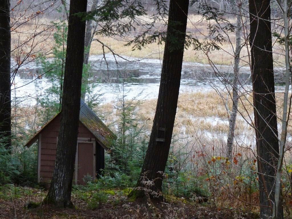 923 Spring Bridge Road Greenbush, ME 04418 - Photo 4 of 36 Photo