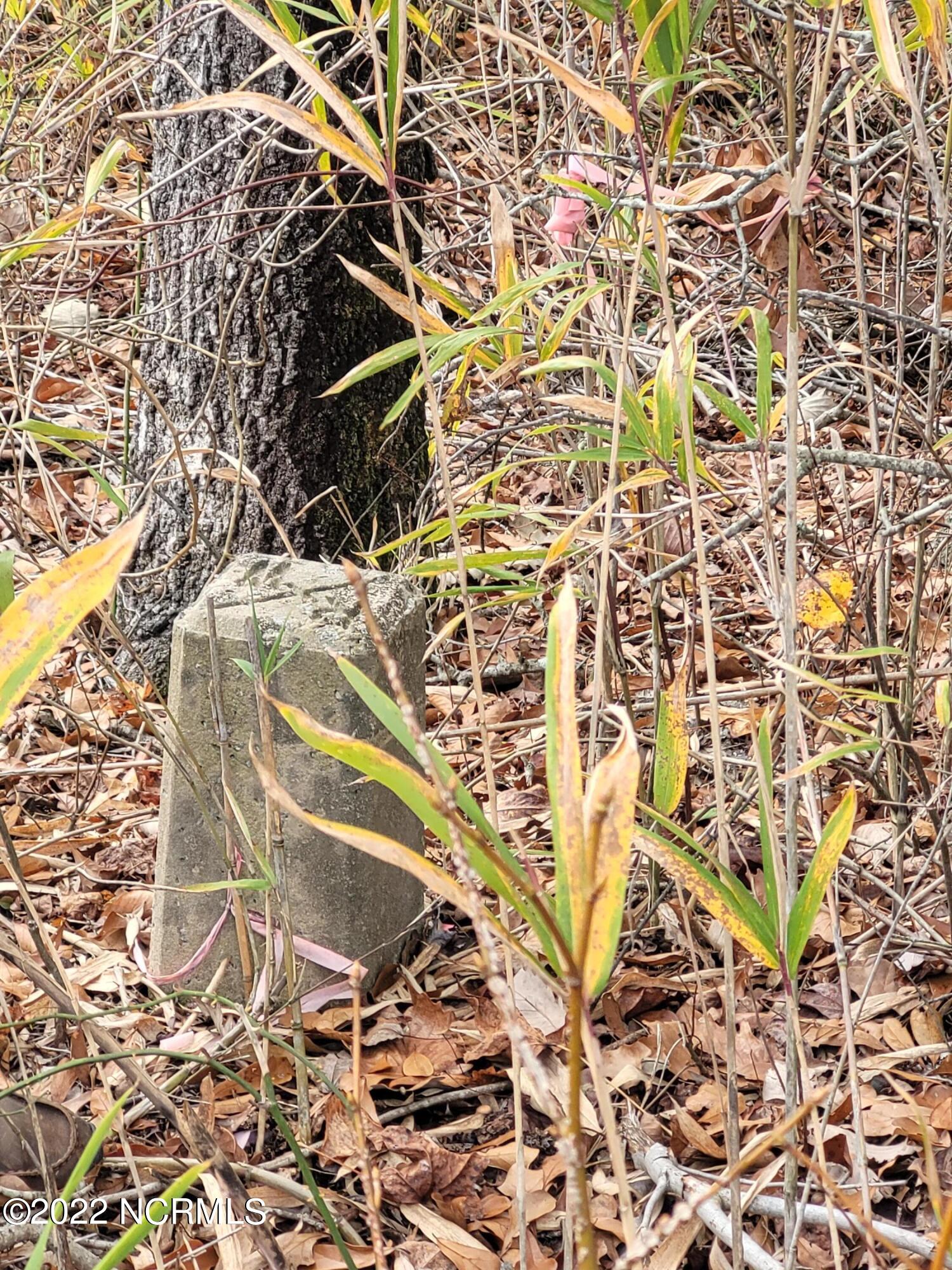 Tbd Poplar Neck Road Tyner, NC 27980 - Photo 8 of 9 front right marker