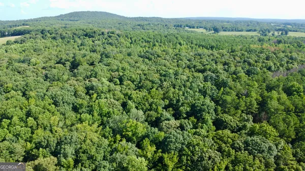 $1,350,000 | 621 Rance Foster Road, Bowdon, GA 30108