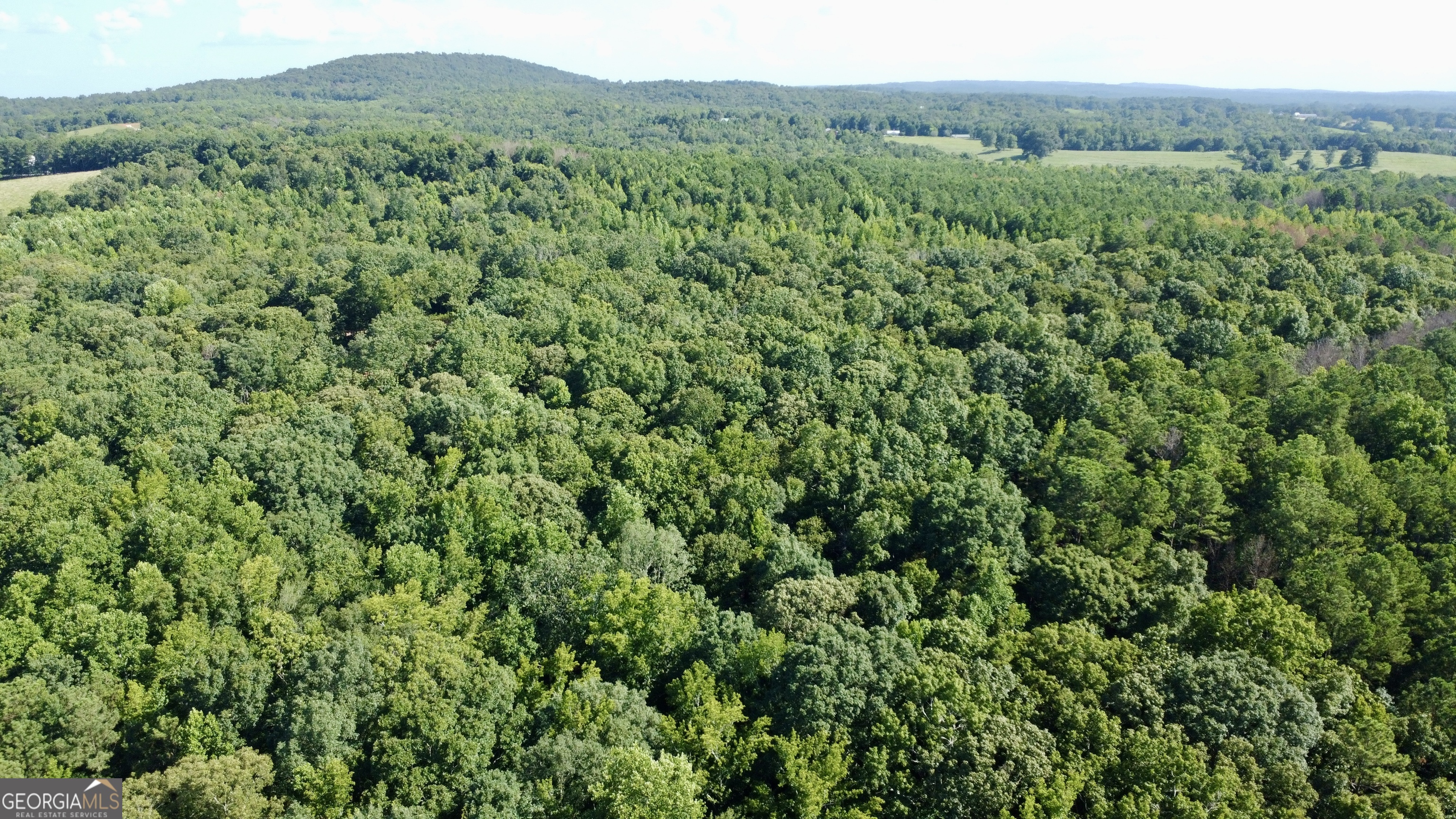 621 Rance Foster Road Bowdon, GA 30108 - Photo 11 of 44