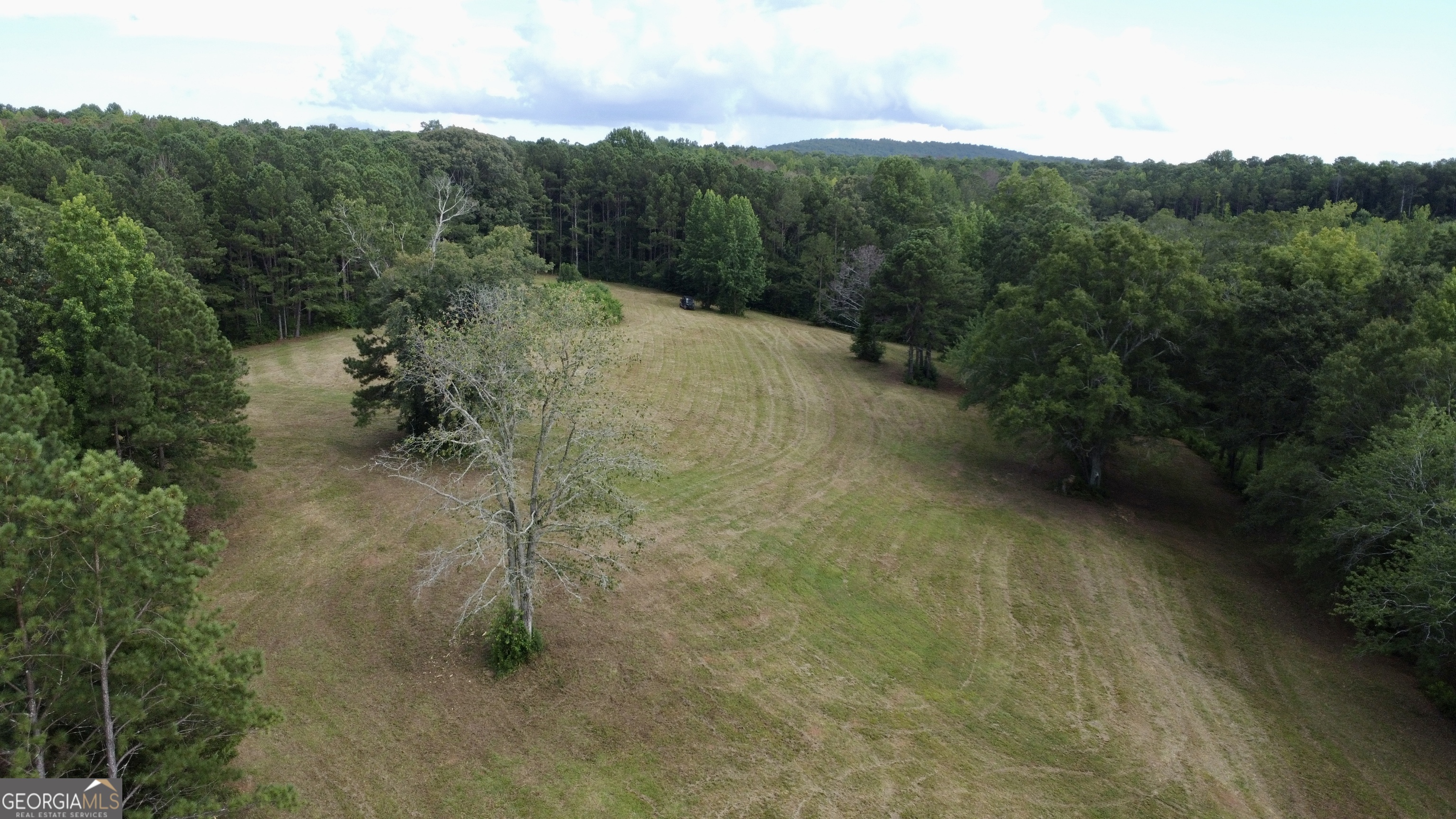 621 Rance Foster Road Bowdon, GA 30108 - Photo 12 of 44