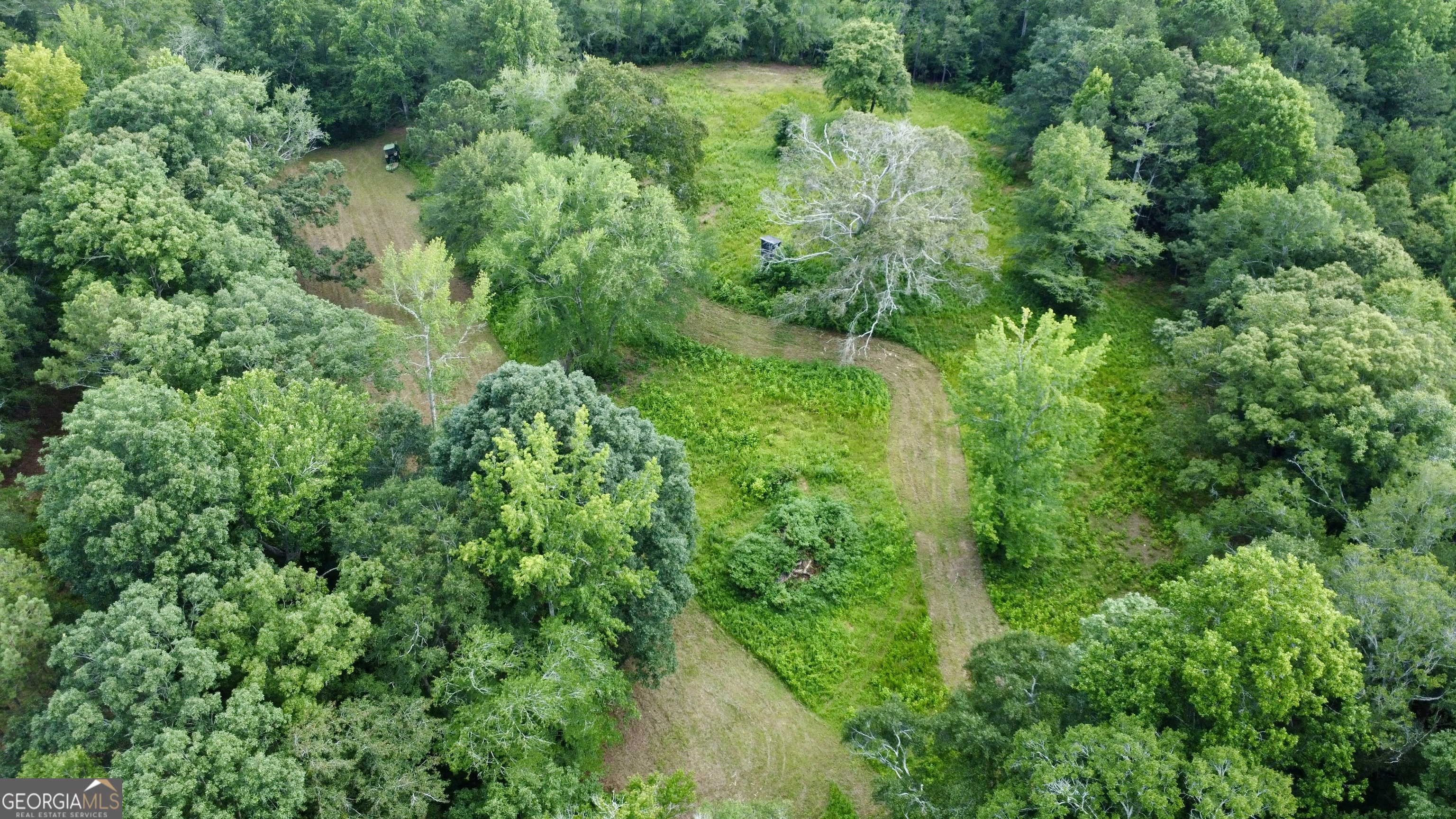 621 Rance Foster Road Bowdon, GA 30108 - Photo 13 of 44