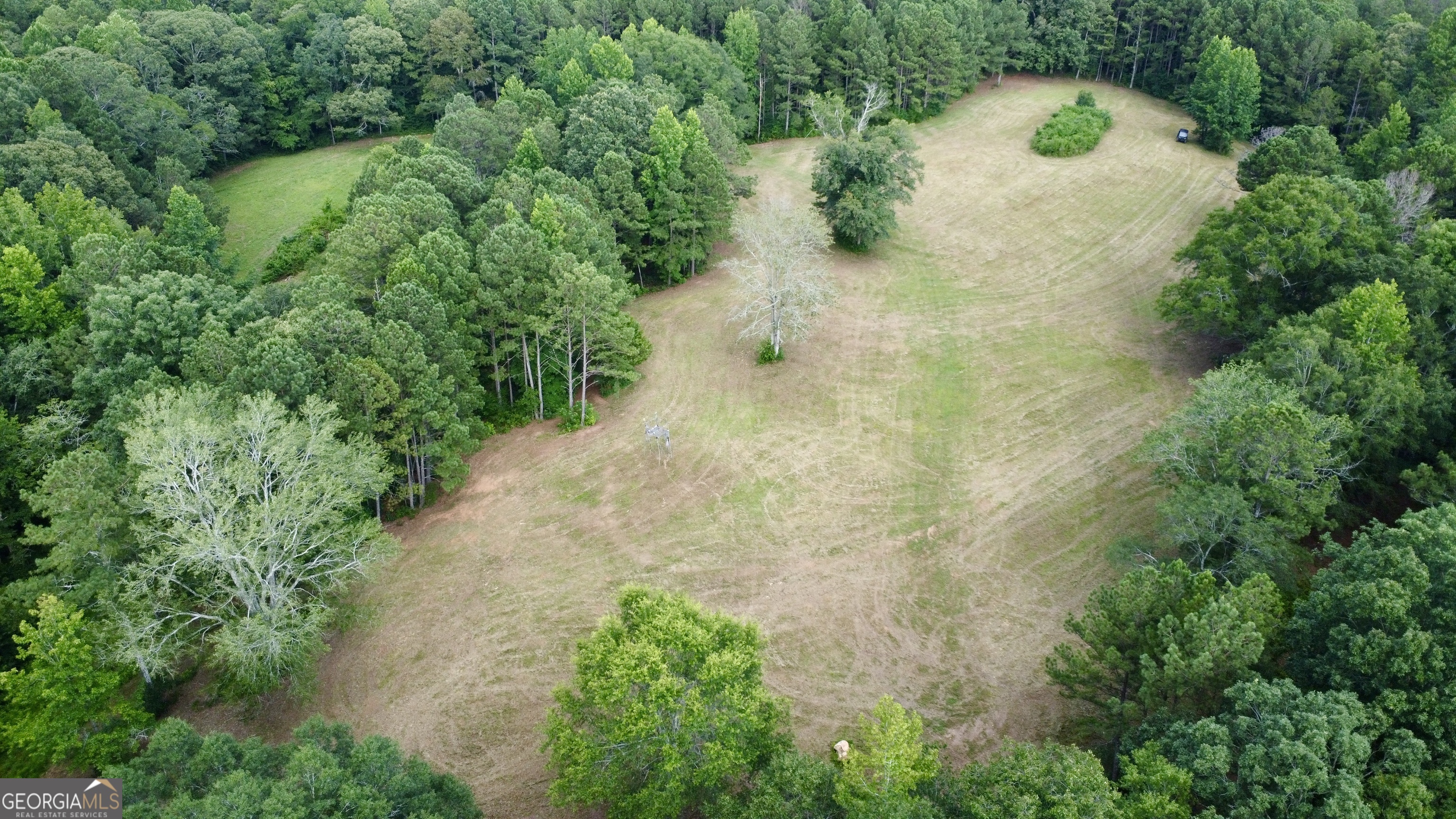 621 Rance Foster Road Bowdon, GA 30108 - Photo 14 of 44