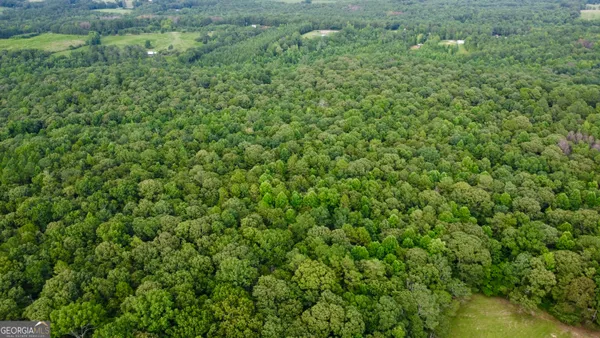 $1,350,000 | 621 Rance Foster Road, Bowdon, GA 30108