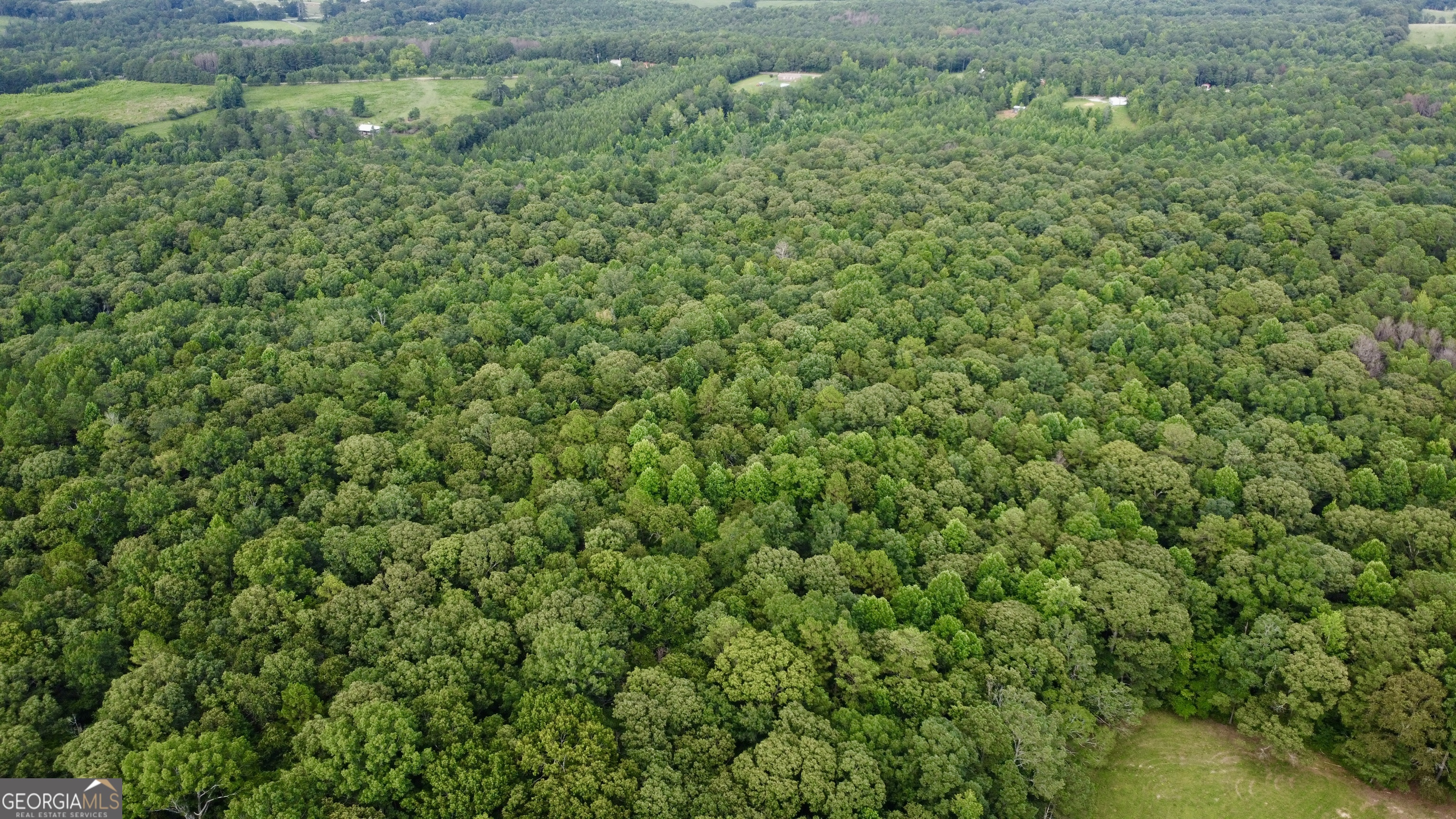 621 Rance Foster Road Bowdon, GA 30108 - Photo 17 of 44