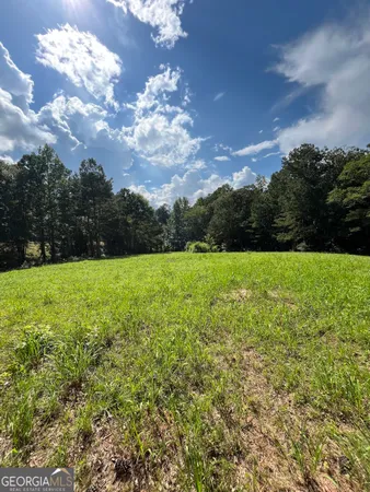 $1,350,000 | 621 Rance Foster Road, Bowdon, GA 30108