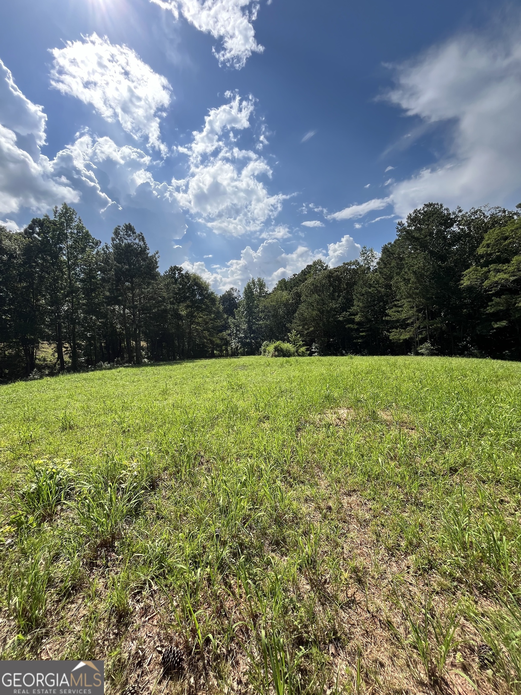 621 Rance Foster Road Bowdon, GA 30108 - Photo 18 of 44