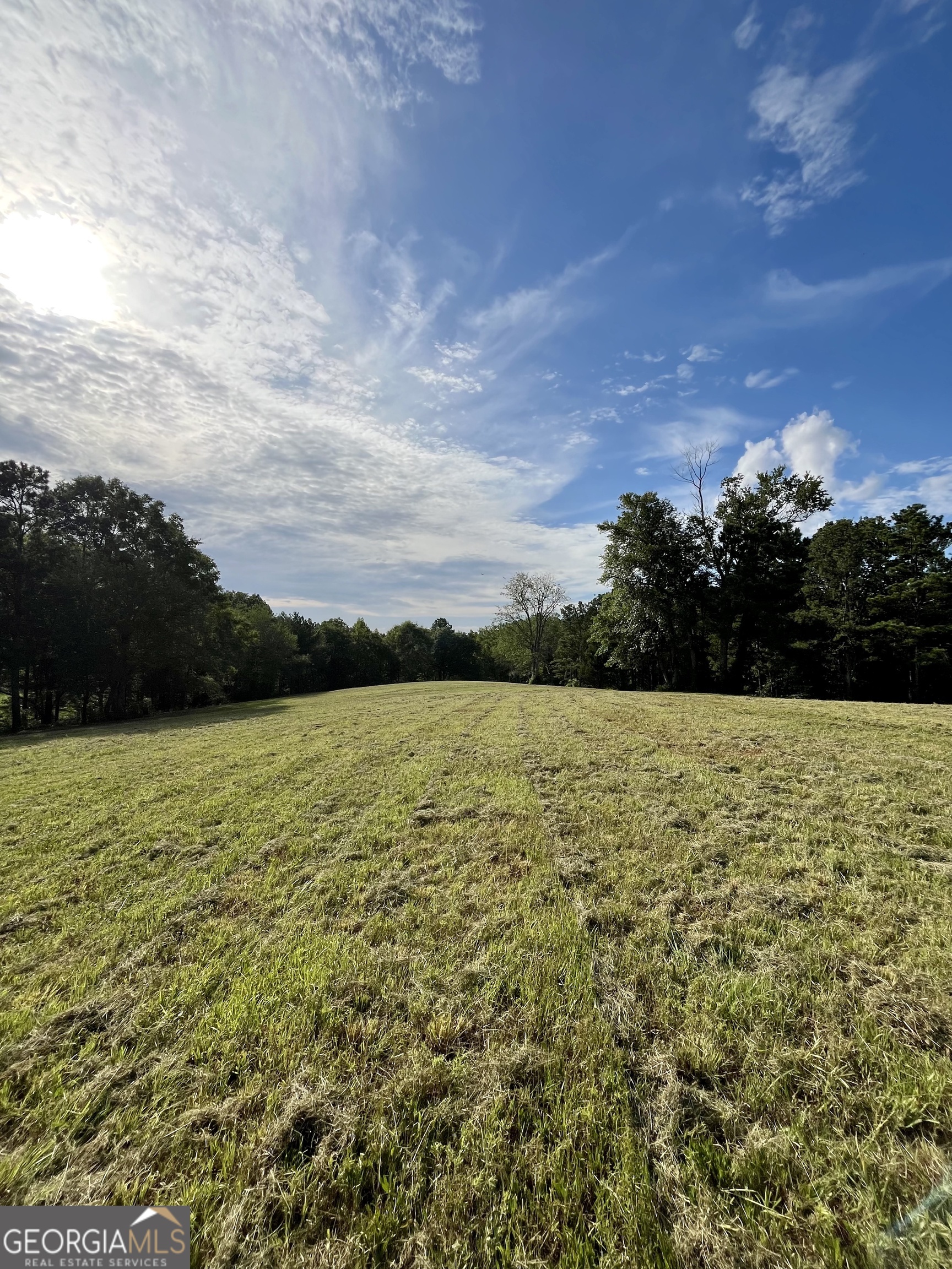 621 Rance Foster Road Bowdon, GA 30108 - Photo 19 of 44