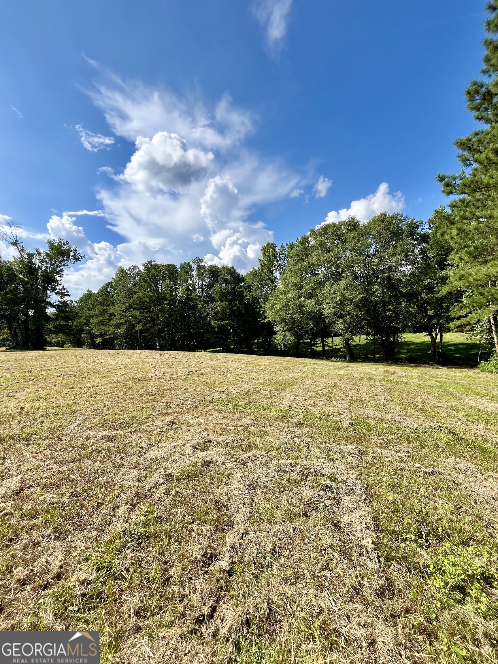 621 Rance Foster Road Bowdon, GA 30108 - Photo 20 of 44