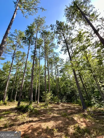 $1,350,000 | 621 Rance Foster Road, Bowdon, GA 30108
