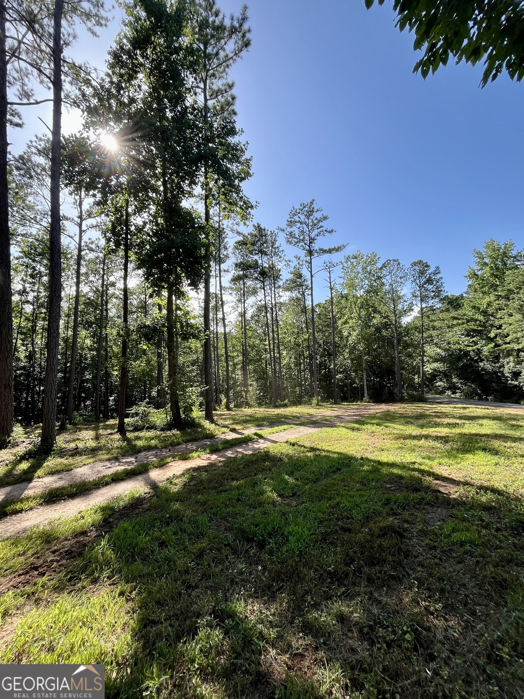 621 Rance Foster Road Bowdon, GA 30108 - Photo 22 of 44