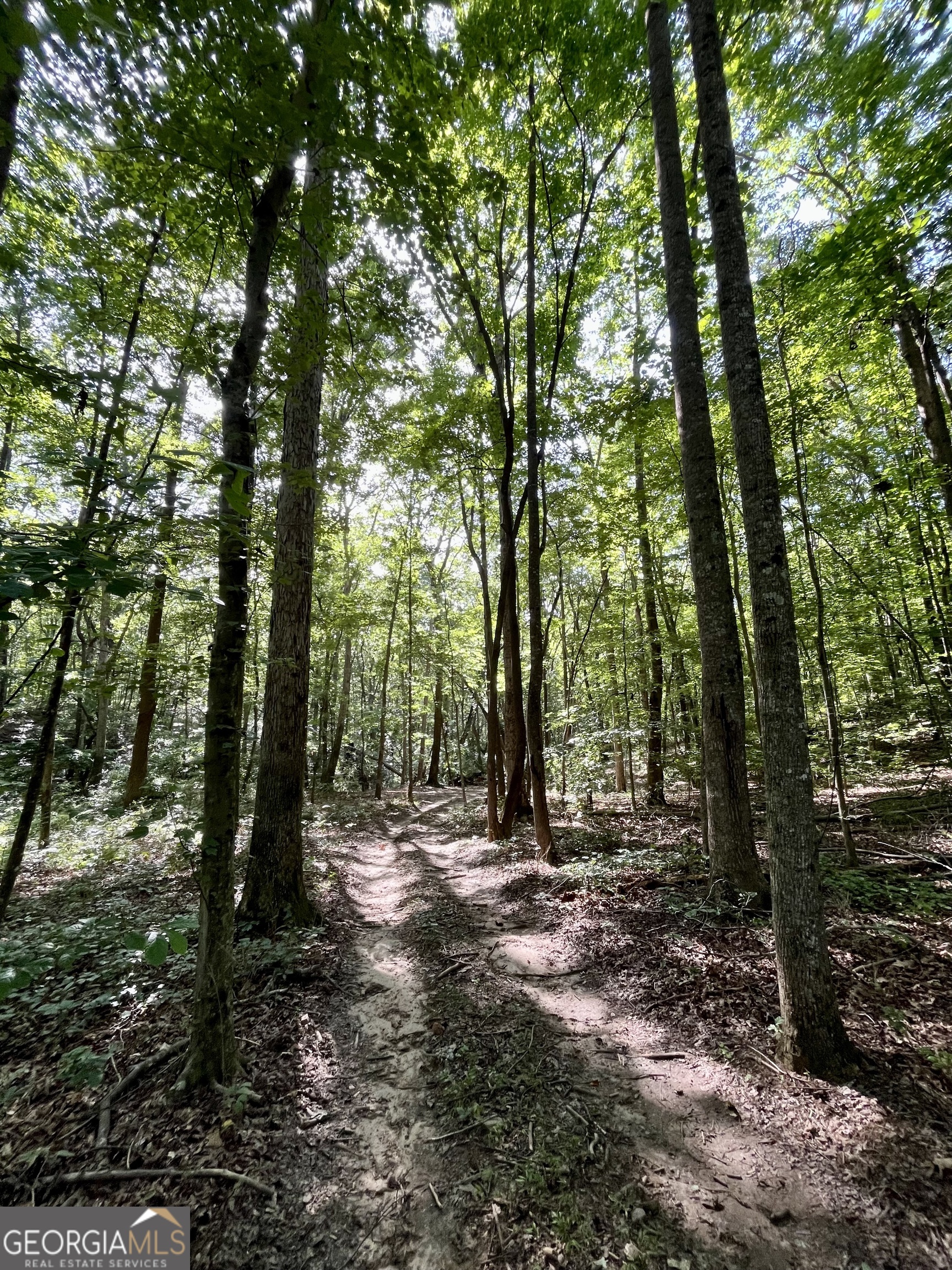 621 Rance Foster Road Bowdon, GA 30108 - Photo 23 of 44