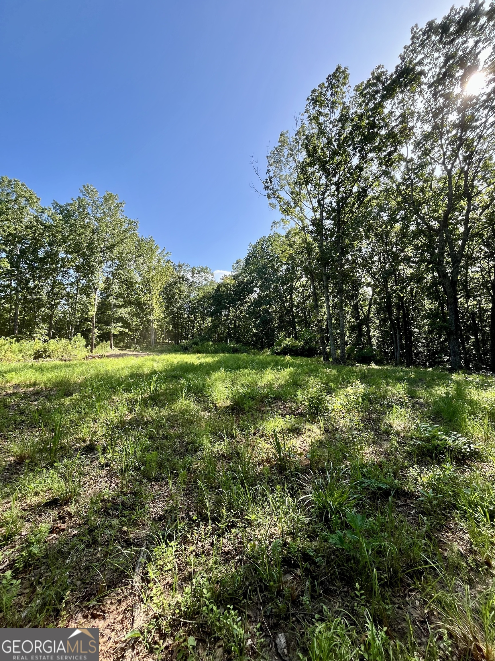 621 Rance Foster Road Bowdon, GA 30108 - Photo 25 of 44