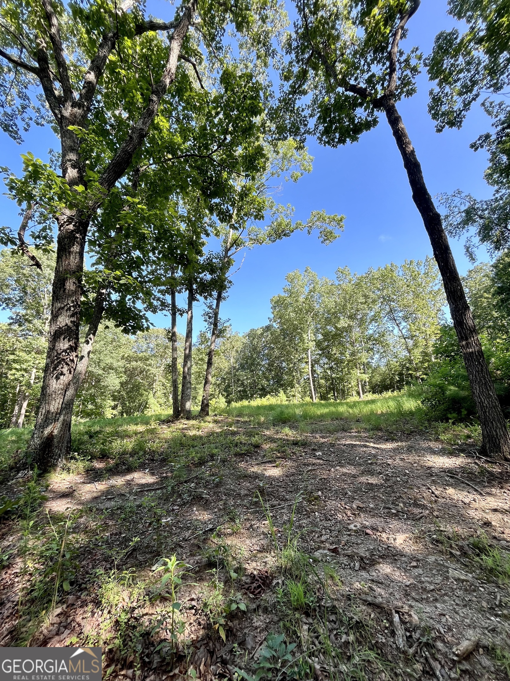 621 Rance Foster Road Bowdon, GA 30108 - Photo 26 of 44