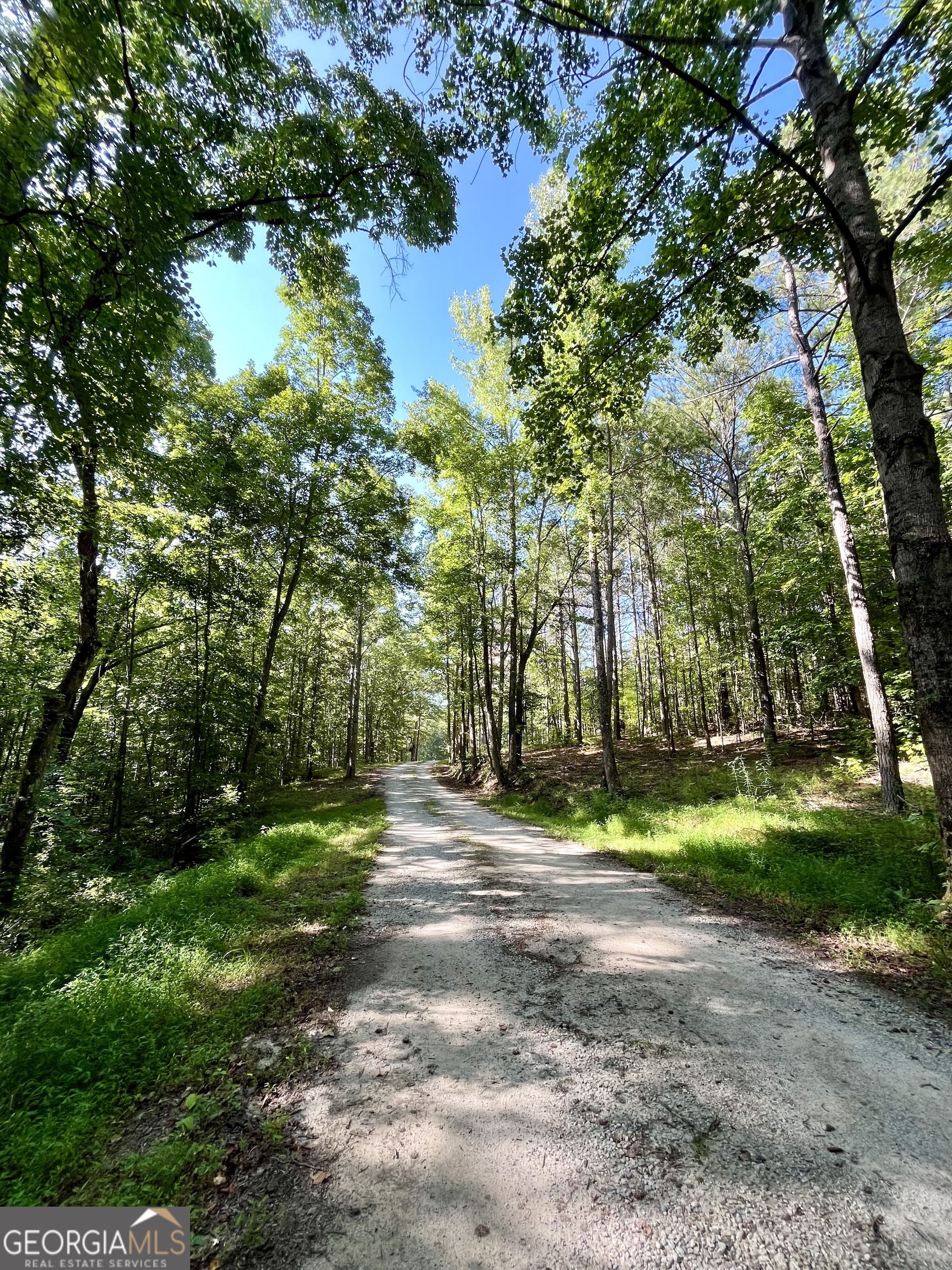 621 Rance Foster Road Bowdon, GA 30108 - Photo 27 of 44