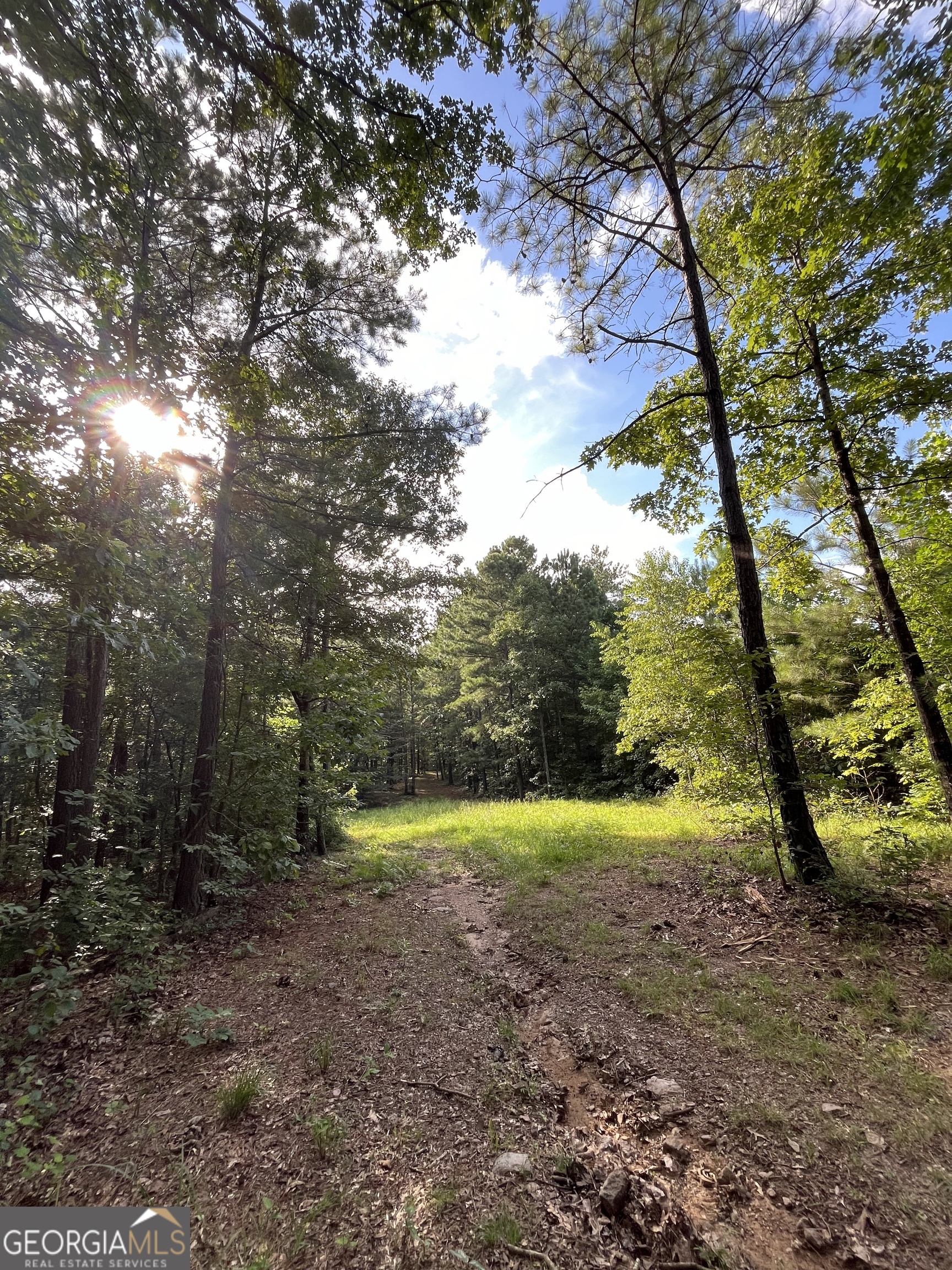 621 Rance Foster Road Bowdon, GA 30108 - Photo 28 of 44