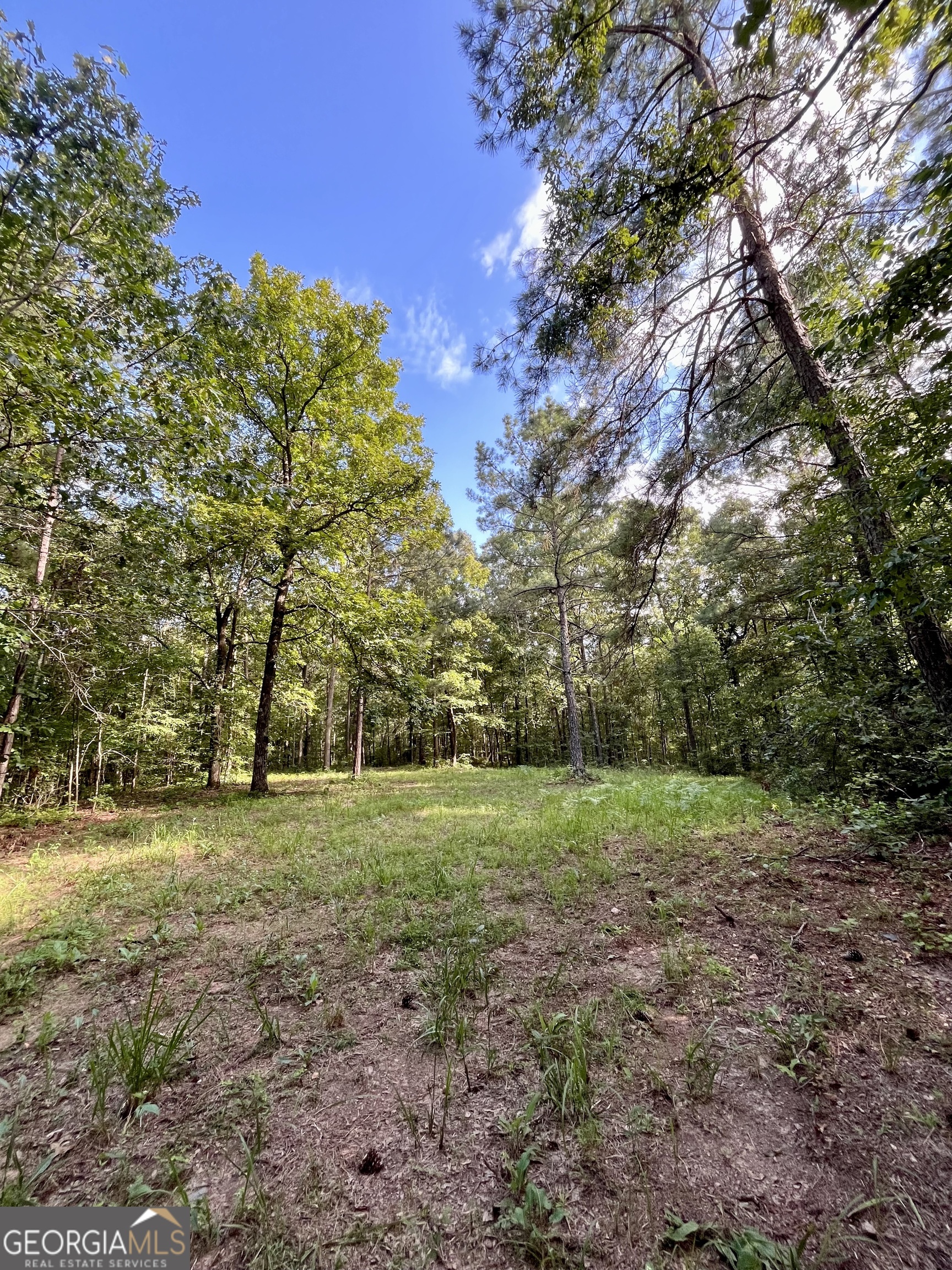 621 Rance Foster Road Bowdon, GA 30108 - Photo 29 of 44