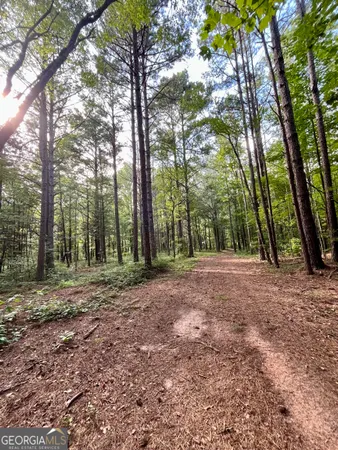 $1,350,000 | 621 Rance Foster Road, Bowdon, GA 30108
