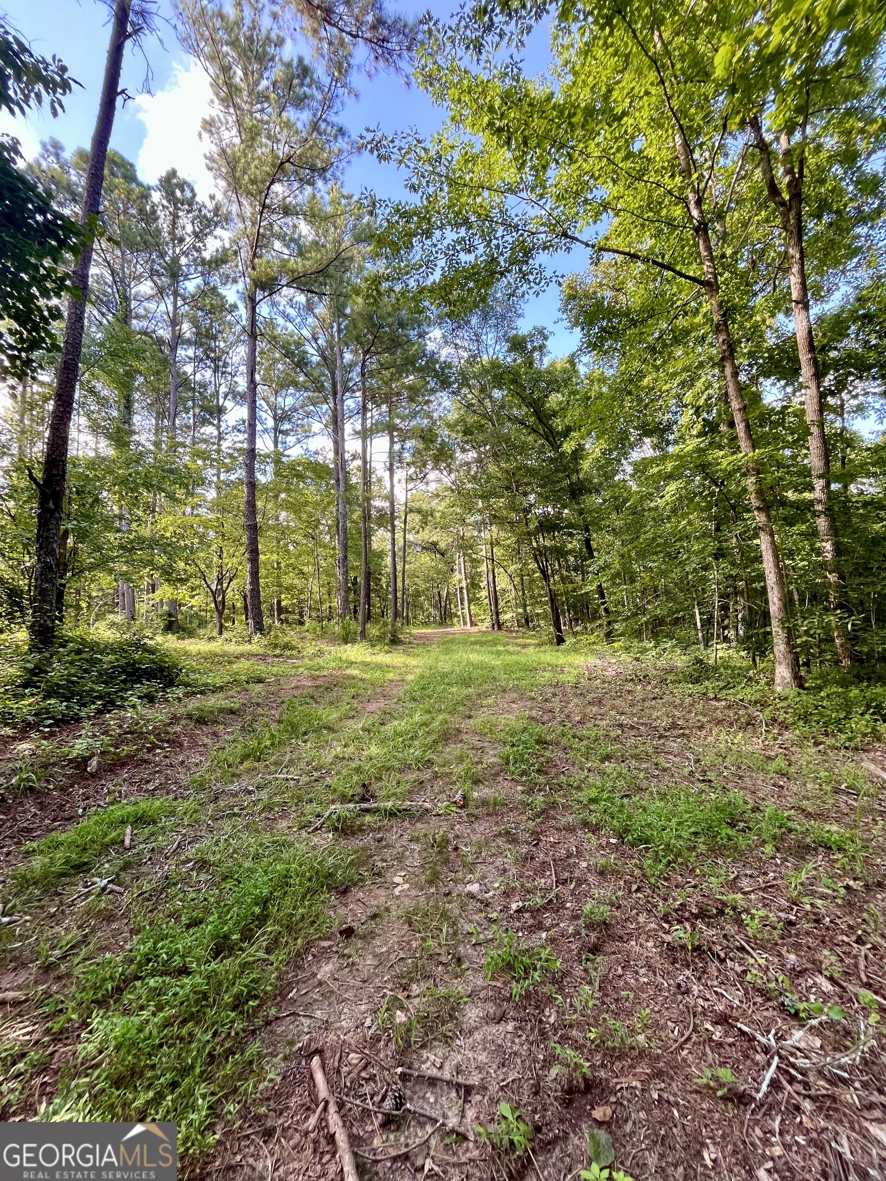 621 Rance Foster Road Bowdon, GA 30108 - Photo 31 of 44