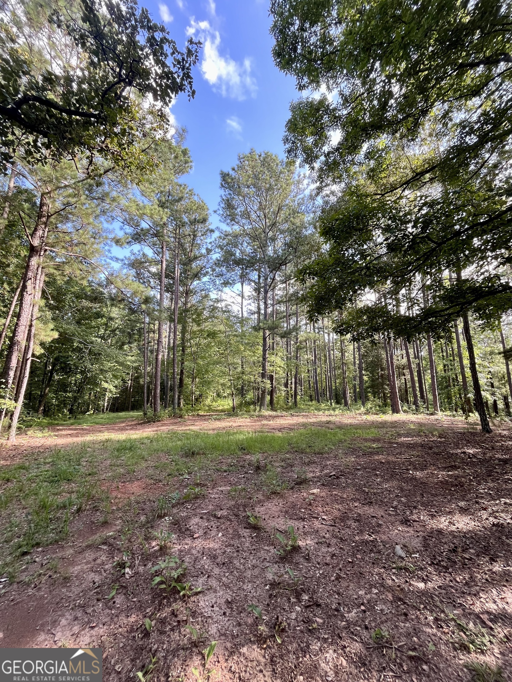 621 Rance Foster Road Bowdon, GA 30108 - Photo 32 of 44