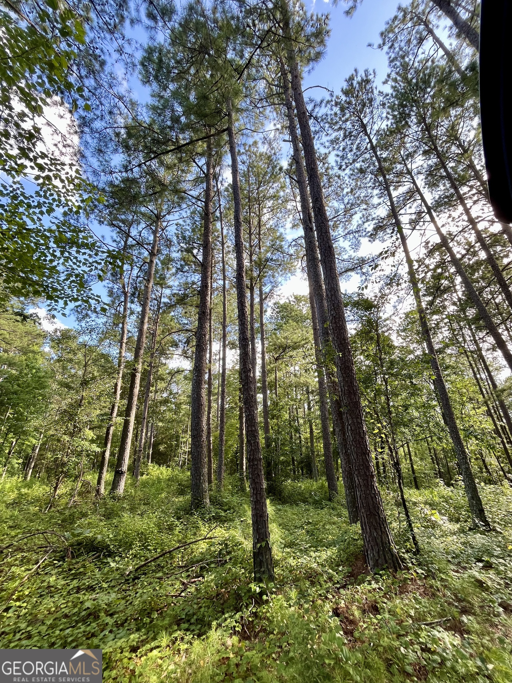 621 Rance Foster Road Bowdon, GA 30108 - Photo 33 of 44