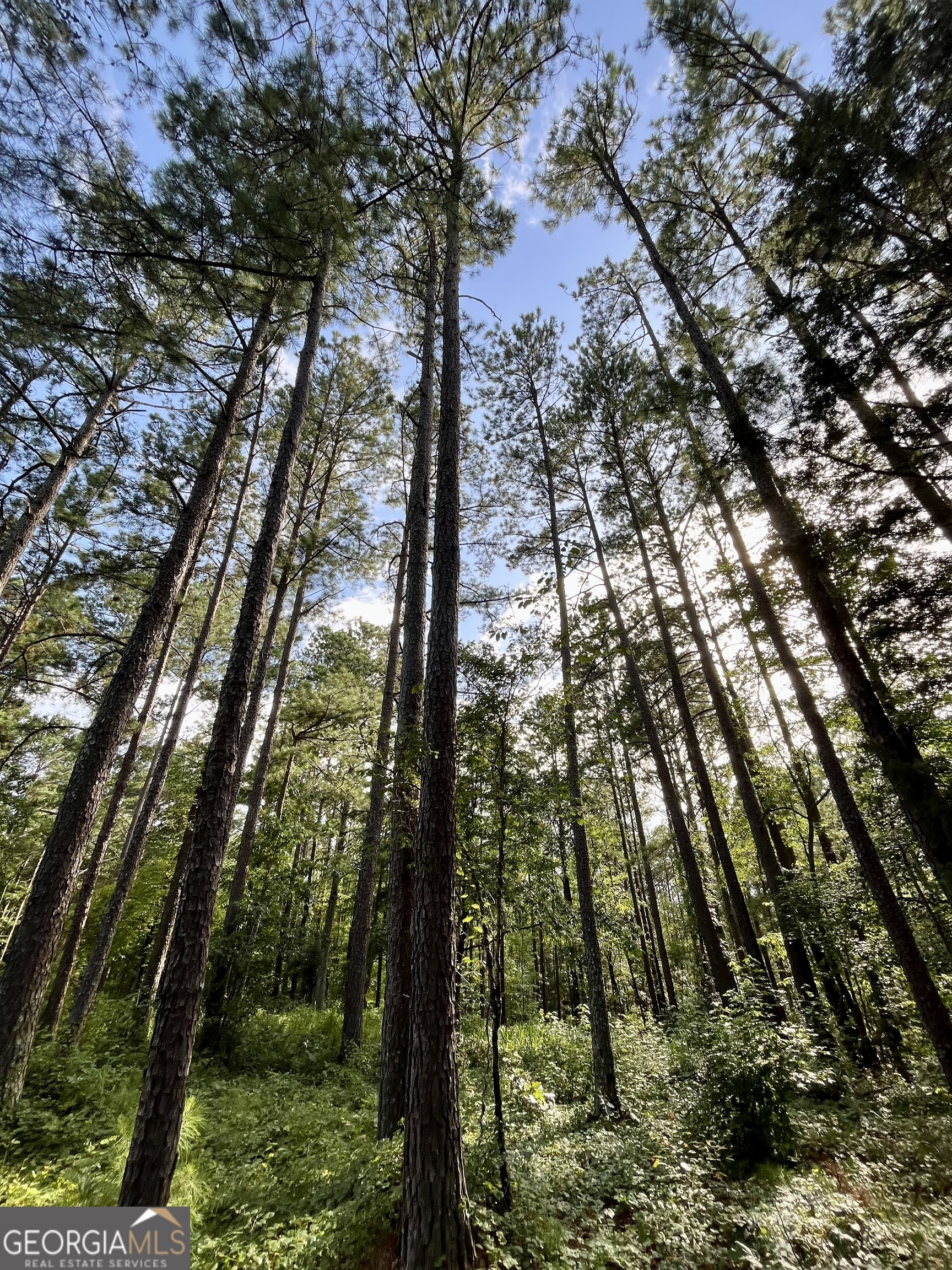 621 Rance Foster Road Bowdon, GA 30108 - Photo 34 of 44