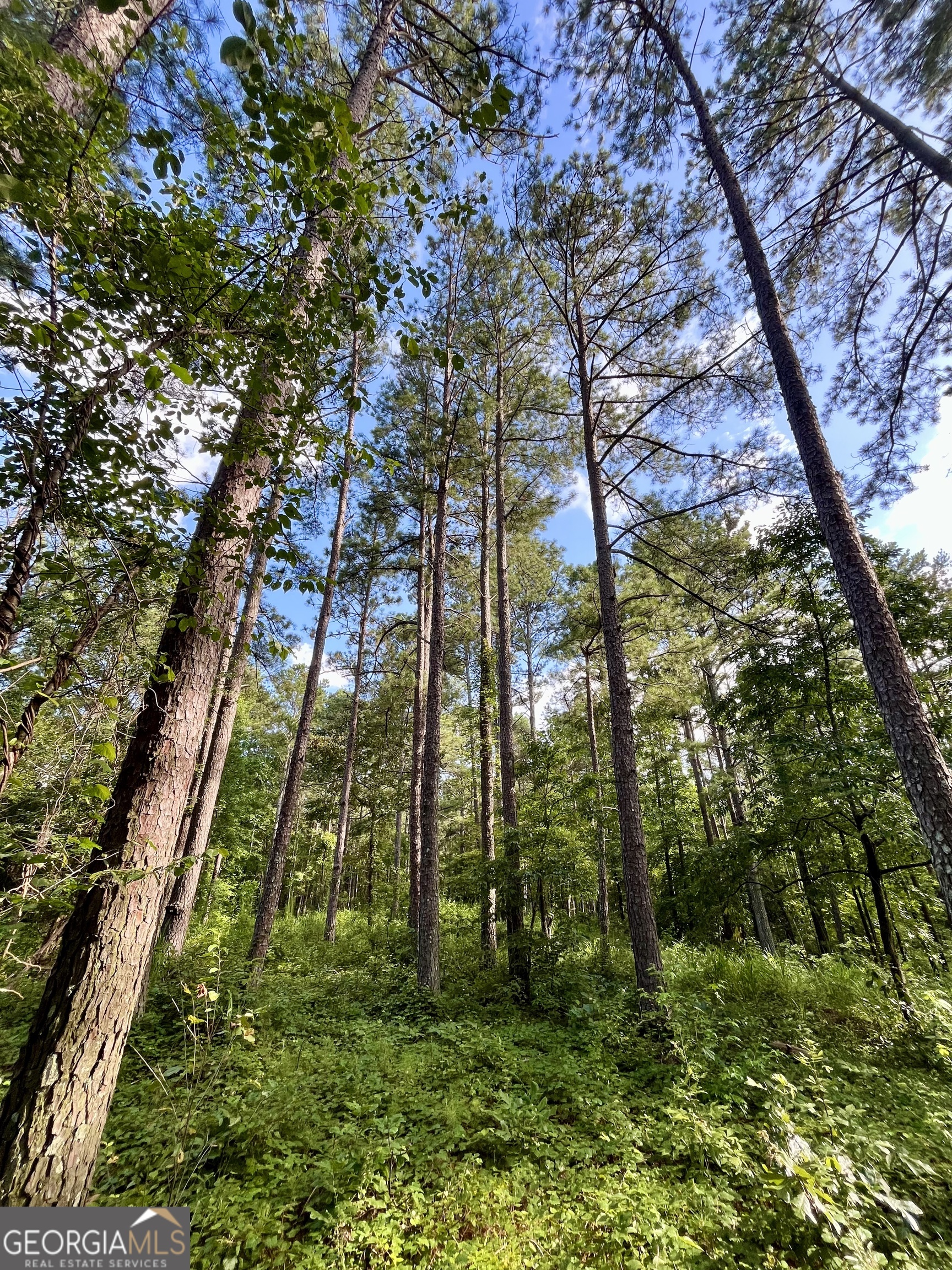 621 Rance Foster Road Bowdon, GA 30108 - Photo 35 of 44