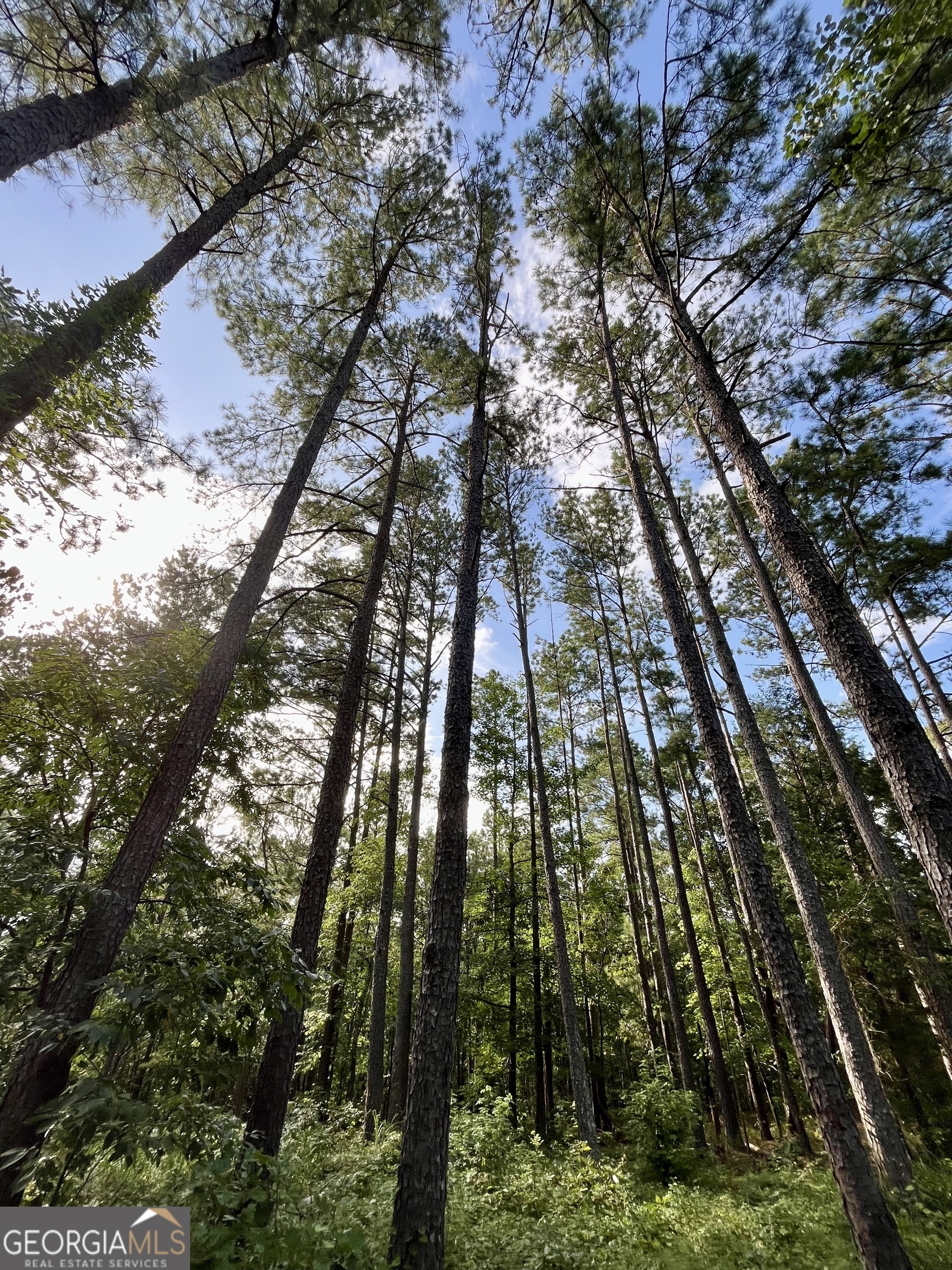 621 Rance Foster Road Bowdon, GA 30108 - Photo 37 of 44