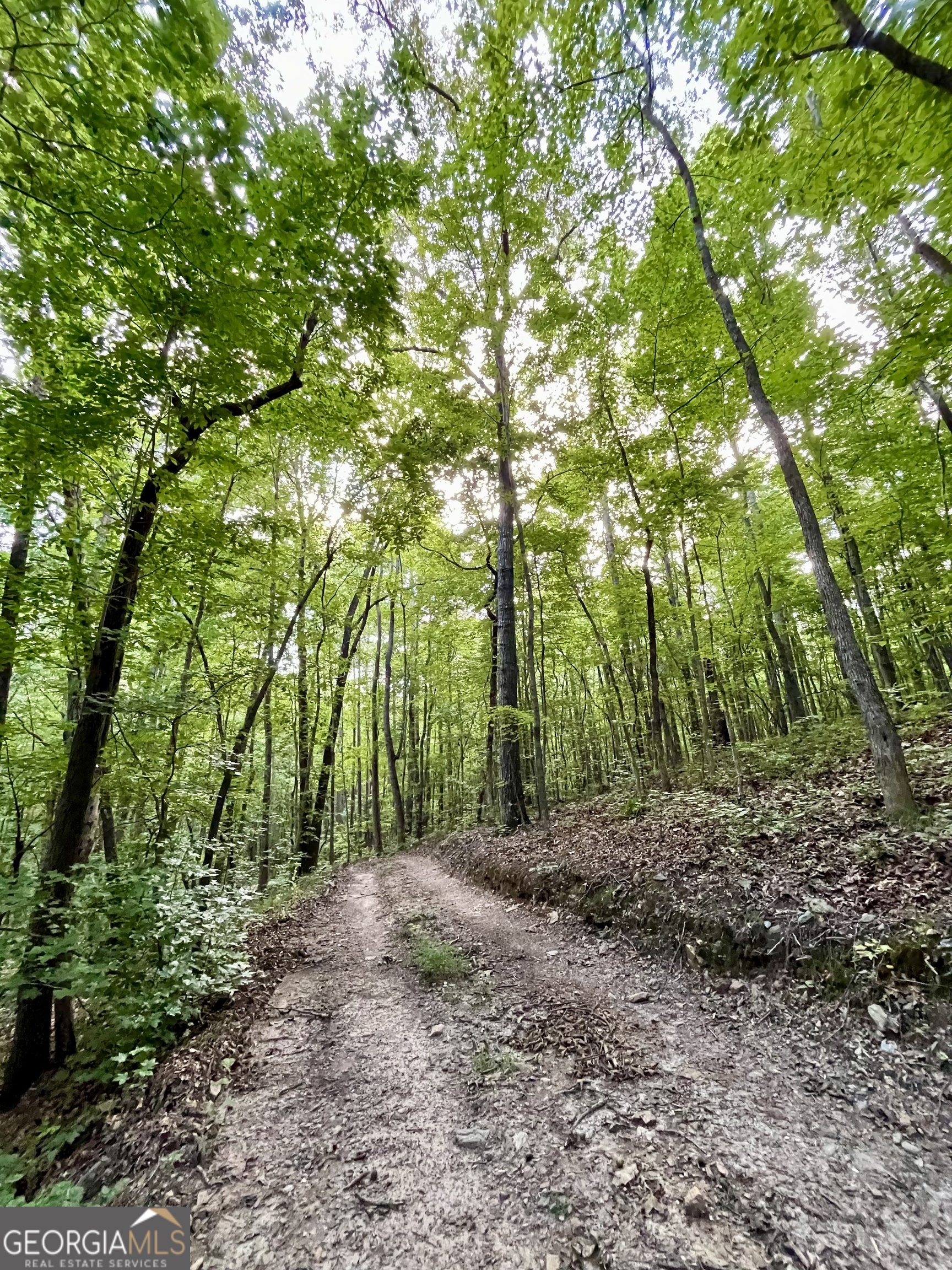 621 Rance Foster Road Bowdon, GA 30108 - Photo 38 of 44