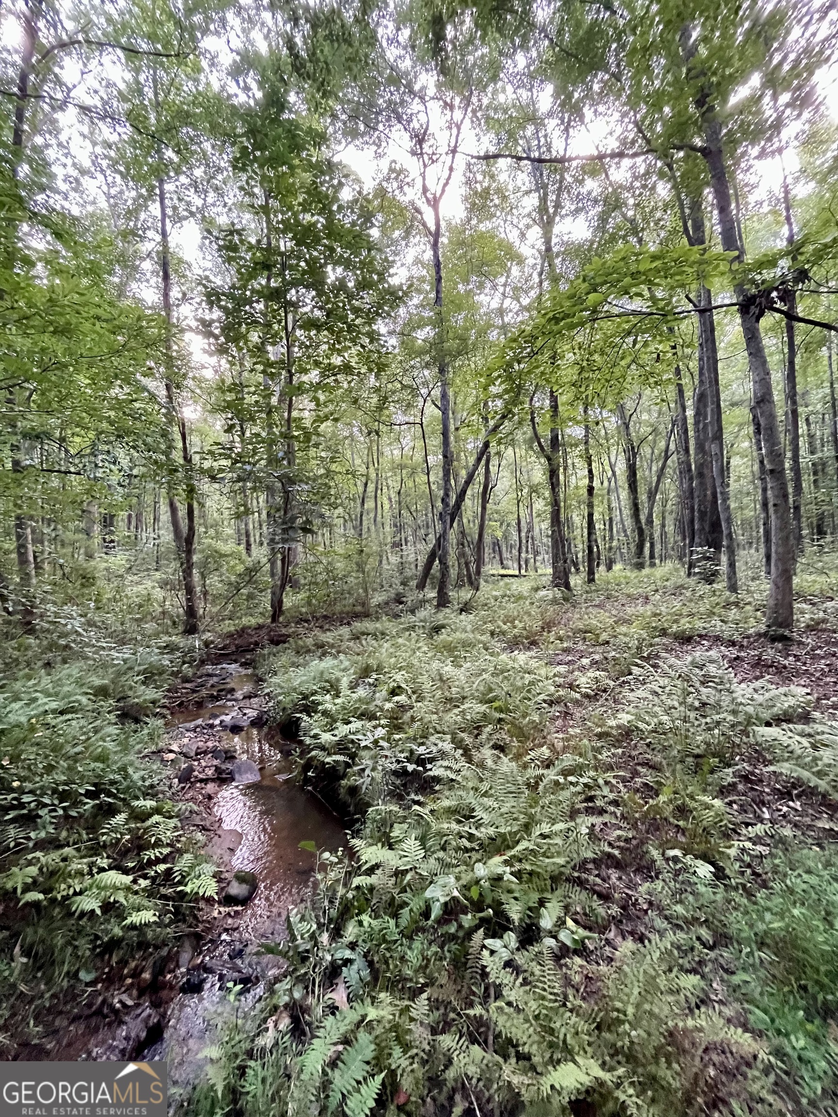 621 Rance Foster Road Bowdon, GA 30108 - Photo 39 of 44